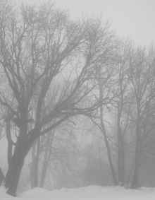 P1261289_60.jpg (487481 bytes)