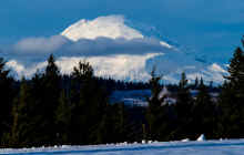 P2021304_60.jpg (377058 bytes)