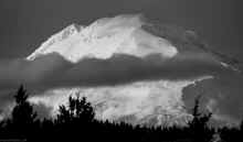 P2021306_60.jpg (254867 bytes)