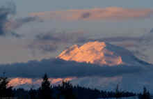 P2021310_60.jpg (244410 bytes)