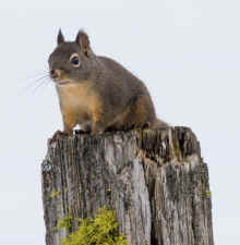 P2031361_60.jpg (171155 bytes)