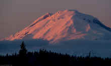 P2131442_60.jpg (229666 bytes)