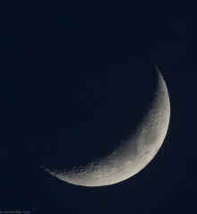 P2131449.jpg (457400 bytes)