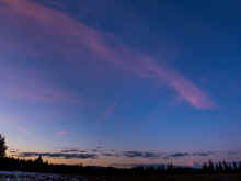 P2131455_60.jpg (249837 bytes)