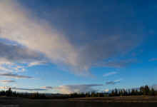 P3051472_60.jpg (269966 bytes)