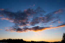 P3051481_60.jpg (315440 bytes)