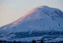 P3131508_60.jpg (368728 bytes)