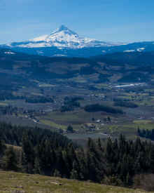 P3141511_60.jpg (625986 bytes)