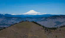 P3141517_60.jpg (388037 bytes)