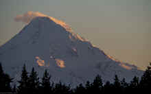 P4011594_60.jpg (231420 bytes)