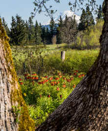 P4140063_60.jpg (919248 bytes)