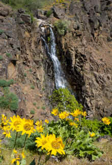 P4180075_60.jpg (463603 bytes)