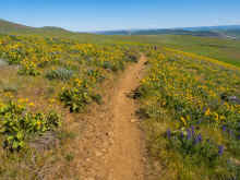 P4180124_60.jpg (1392254 bytes)