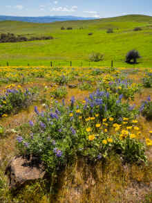 P4180130_60.jpg (1362011 bytes)