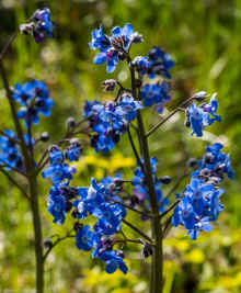 P4180176_60.jpg (369392 bytes)