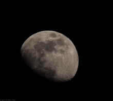 P4180205.jpg (337242 bytes)