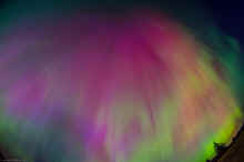 DSC_0089_60.jpg (637524 bytes)