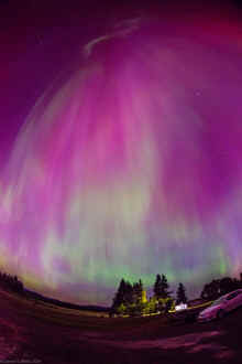 DSC_0202_60.jpg (1229161 bytes)