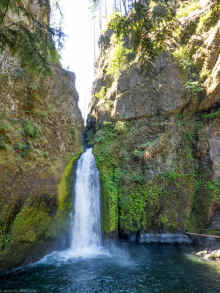 P7150534_60.jpg (1243111 bytes)