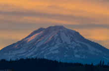 P8030618_60.jpg (227643 bytes)