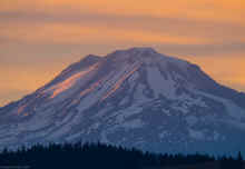 P8030619_60.jpg (239767 bytes)