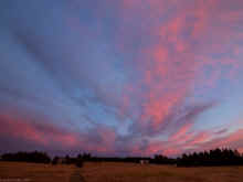 P8030625_60.jpg (240286 bytes)