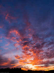 PA111017_60.jpg (352860 bytes)