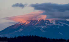 PA141045_60.jpg (240974 bytes)