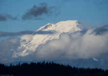 PA161062_60.jpg (252092 bytes)