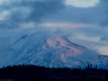 PA171075_60.jpg (314903 bytes)