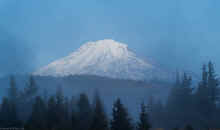 PA221128_60.jpg (243562 bytes)