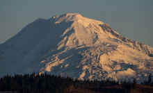 PA291164_60.jpg (362382 bytes)