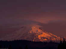 PA301175_60.jpg (246151 bytes)