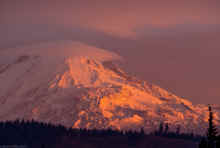 PA301176_60.jpg (340954 bytes)