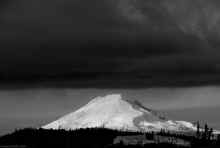 PC181492_60.jpg (261488 bytes)