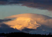 PC241494-2_60.jpg (88806 bytes)