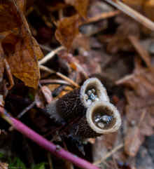 DSC_0135_90.jpg (230638 bytes)