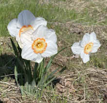 IMG_E0498_80.jpg (296460 bytes)