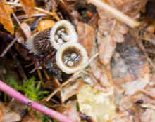 P3100869_60.jpg (142843 bytes)