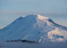 P4010978_60.jpg (245627 bytes)