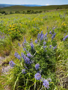 P5041222_60.jpg (1393497 bytes)