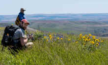 P5041234_60.jpg (648466 bytes)