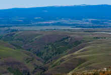 P5051341_60.jpg (597172 bytes)