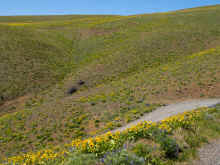 P5051377_60.jpg (1396603 bytes)