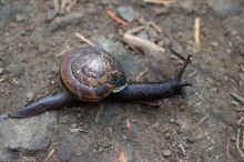 DSC_0591_edit_60.jpg (865957 bytes)