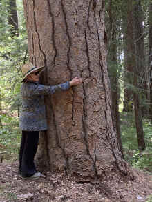 IMG_0925_90.jpg (1130313 bytes)