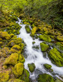 P5071438_60.jpg (797900 bytes)