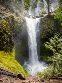 P5071463_60.jpg (1328641 bytes)