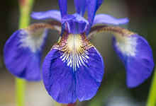 P5160148_60.jpg (153803 bytes)