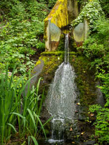 P5160176_60.jpg (1241451 bytes)